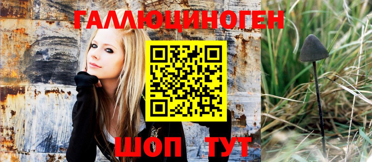 где купить   Вход с VPN  Иваново  Галлюциногенные грибы Psilocybe  Псилоцибиновые грибы Psilocybe 